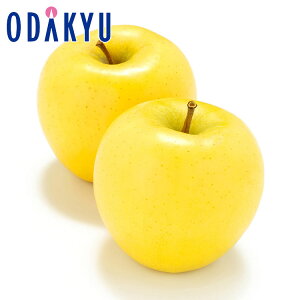  x13xȏ VimS[h 2.4kg b11{ȍ~̂͂Eւ͓͕s()