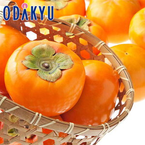 JL RY cYn꒬c̕xL` 2.5kg G b11{ȍ~̂͂Eւ͓͕s()