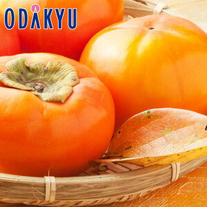 JL IWiH` 3kg G b7-12xł̂͂Eւ͓͕s()