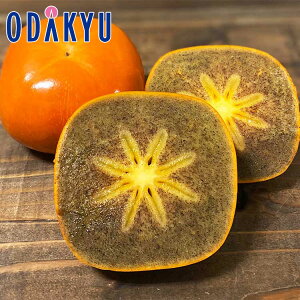 JL  a̎RY Im` 3kg G b7-12xł̂͂Eւ͓͕s()