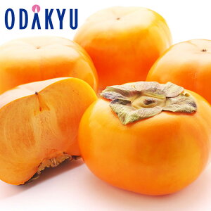 JL ÉY lkY` 3kg G b7-12xł̂͂Eւ͓͕s()