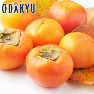 JL 300gȏʌ 򕌌Y xL` 2.7kg G b11{ȍ~̂͂Eւ͓͕s()