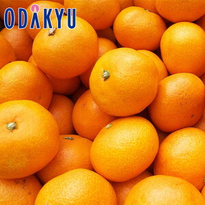 ~J ꌧY l݂ 5kgS`MTCY G b7-12xł̂͂Eւ͓͕s()