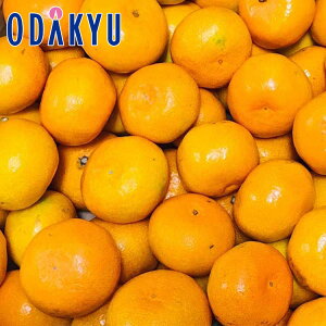 ~J F{Y ̂ڂ ݂ 5kgS`MTCY G b7-12xł̂͂Eւ͓͕s()