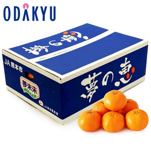 ~J F{Y ݂ 4kgS`MTCY G b11{ȍ~̂͂Eւ͓͕s()