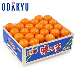 ~J 茧Y q݂ 5kgS`MTCY G b11{ȍ~̂͂Eւ͓͕s()