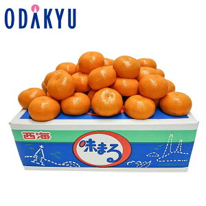 ~J 茧Y ܂݂ 5kgS`MTCY G b11{ȍ~̂͂Eւ͓͕s()