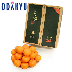 ~J QY ̊ۂ݂ 5kgS`MTCY G b11{ȍ~̂͂Eւ͓͕s()