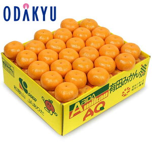 ~J a̎RY Lc݂ 5kgS`MTCY G b11{ȍ~̂͂Eւ͓͕s()