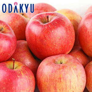  eʃTӂ 4.8kg Zbg Yn͂܂ G b7-12xł̂͂Eւ͓͕s()