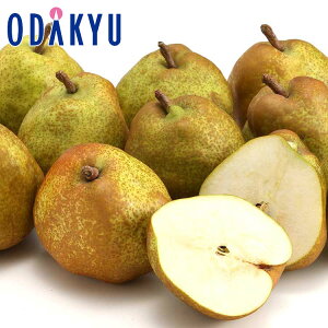 mȂ R`Y EtX 2.4kg G b7-12xł̂͂Eւ͓͕s()