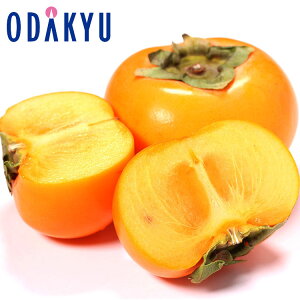 JL Yn R`Y ` 1.5kg G b7-12xł̂͂Eւ͓͕s()