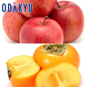 JL  R`Y Tӂ & ` 1.6kg G b7-12xł̂͂Eւ͓͕s()