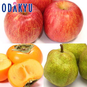 t[cZbg ݂̂OFZbg 2kg G b7-12xł̂͂Eւ͓͕s()