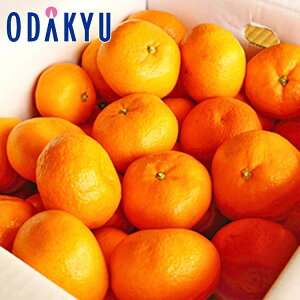 ~J Yn͂܂ {݂̂ 3kg S`LTCY G b7-12xł̂͂Eւ͓͕s()