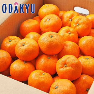 ~J Yn͂܂ {݂̂ 5kg S`LTCY G b7-12xł̂͂Eւ͓͕s()