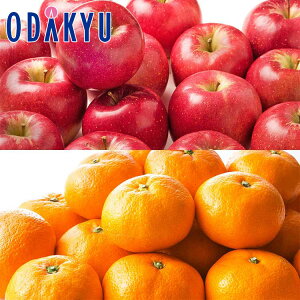  ~J Tӂ & {݂̂񂨔Zbg 4.9kg G b7-12xł̂͂Eւ͓͕s()