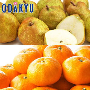 mȂ ~J R`EtX & {݂̂񂨔Zbg 4.9kg G b7-12xł̂͂Eւ͓͕s()