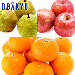 t[cZbg R`EtX & Tӂ & {݂̂Hה 2.5kg S`LTCY G b7-12xł̂͂Eւ͓͕s()