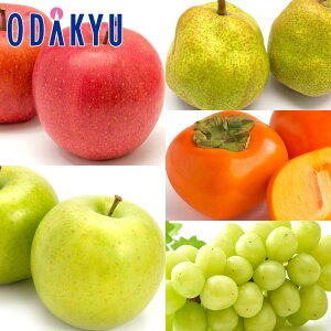  JL mȂ VC}XJbĝ݂t[cZbg 2.4kg G b7-12xł̂͂Eւ͓͕s()