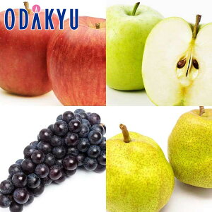  mȂ Ԃǂ  ݂̂t[cZbgx[VbN 1.9kg b7-12xł̂͂Eւ͓͕s()