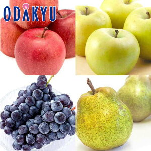  mȂ Ԃǂ {[ Ղ݂̂t[cZbgx[VbN 3.8kg b7-12xł̂͂Eւ͓͕s()