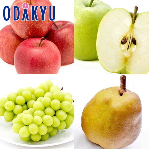  mȂ Ԃǂ ݂̂t[cZbgv~A 񂲂͓xۏ 2.1kg G b7-12xł̂͂Eւ͓͕s()