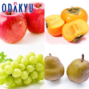  JL mȂ VC}XJbg 11̃t[cZbg 1.8kg G b7-12xł̂͂Eւ͓͕s()