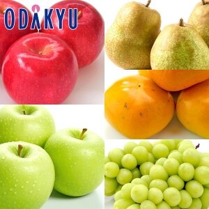  JL mȂ VC}XJbg Ղ11̃t[cZbg 3.2kg G b7-12xł̂͂Eւ͓͕s()