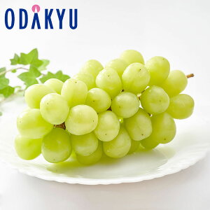 Ԃǂ 쌧Y VC}XJbg 1[l 0.5kg G b7-12xł̂͂Eւ͓͕s()