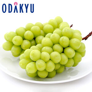 Ԃǂ 쌧Y VC}XJbg 2[l 1kg G b7-12xł̂͂Eւ͓͕s()