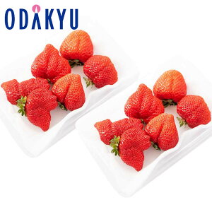  Y ܂ 0.5kg DX^Cv b11{ȍ~̂͂Eւ͓͕s()