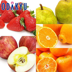   ~J mȂ ~̎5Zbg 2.8kg b11{ȍ~̂͂Eւ͓͕s()