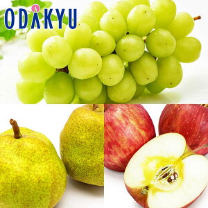 Ԃǂ VC}XJbg̓~̎3 1.4kg G b11{ȍ~̂͂Eւ͓͕s()