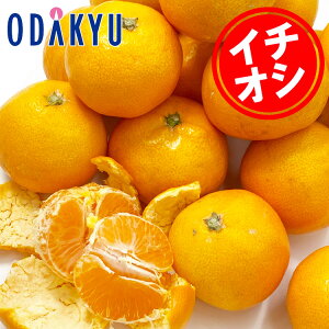 _\撅300I11/25܂ł̓ʉi^  Nu݂  5kg b7-12xł̂͂Eւ͓͕s()