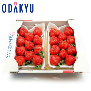   Y ܂ DX 0.5kg G b121ȍ~zkCElEBEEւ͓͕s