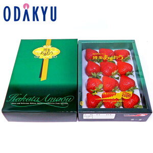   ΕDKi Y ܂ EX 0.4kg G b121ȍ~zkCElEBEEւ͓͕s