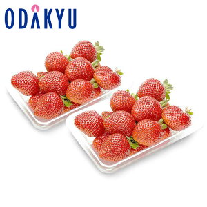   Y ܂ pbN 0.4kg G b121ȍ~zkCElEBEEւ͓͕s