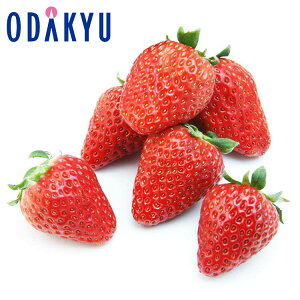   ÉY gق z[ 0.4kg G b121ȍ~zkCElEBEEւ͓͕s