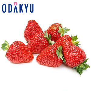   Ȗ،Y Ƃ pbN 0.4kg G b121ȍ~zkCElEBEEւ͓͕s