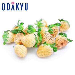   ΕDKi ꌧY W 0.4kg G b12{ȍ~zkCElEBEEւ͓͕s