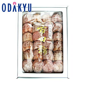 `  ΕDKi 쌧Y sc` 0.7kg G b12{ȍ~zEւ͓͕s