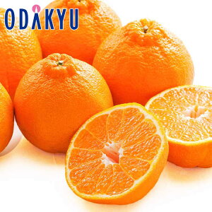 ݂  ΕDKi F{Y fR| 1.6kg G b121ȍ~zEւ͓͕s