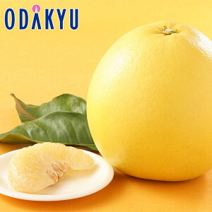 ݂  ΕDKi F{Y ӔM 3kg G b121ȍ~zEւ͓͕s