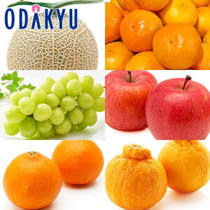 Ԃǂ  VC}XJbg12̃t[cZbg DX 4.0kg G b121ȍ~zkCElEBEEւ͓͕s