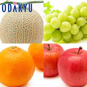 Ԃǂ   VC}XJbg12̃t[cZbg 2.3kg G b121ȍ~zkCElEBEEւ͓͕s