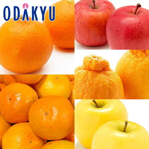  ݂  g܂ǂȓ肽Ղ12̃t[cZbg 2.8kg G b121ȍ~zkCElEBEEւ͓͕s