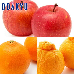 ݂   g܂ǂȓ12̃t[cZbg 1.3kg G b121ȍ~zkCElEBEEւ͓͕s