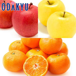 ь    & ݂!12̃t[cZbg 2kg G b121ȍ~zkCElEBEEւ͓͕s