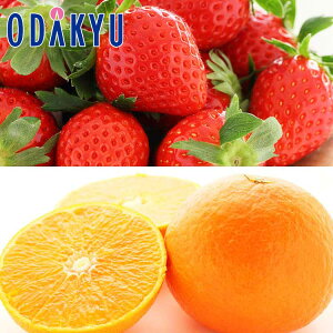   ΕDKi {̂ƍg܂ǂ 1kg G b121ȍ~zkCElEBEEւ͓͕s